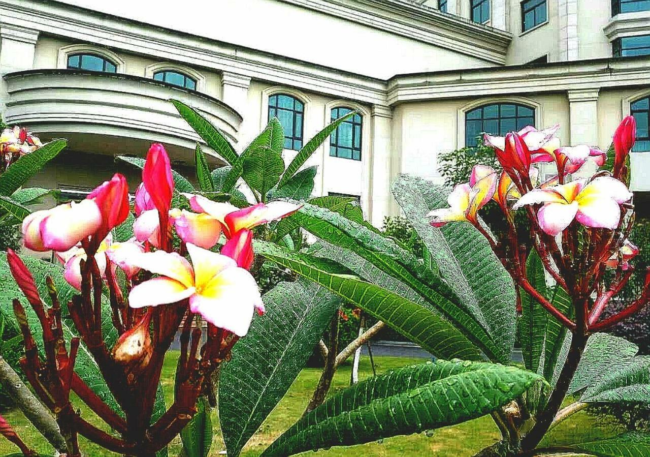 Ln Dongfang Hotel, Sihui מראה חיצוני תמונה